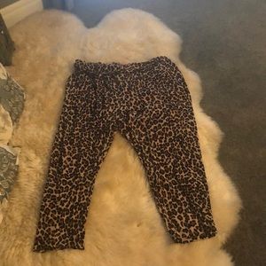 Leopard print pants for women